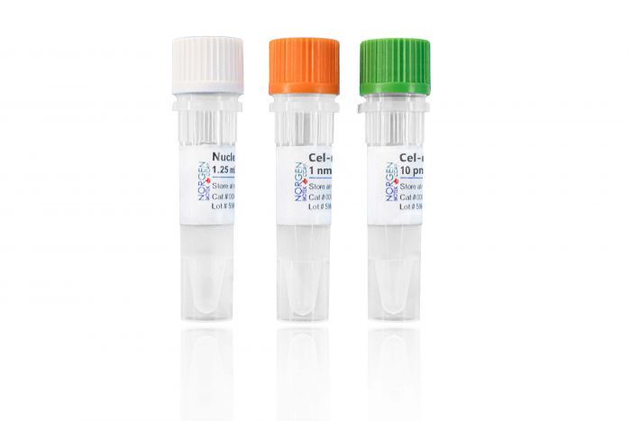 Kit Components (from left to right): Nuclease-Free Water, cel-miR-39 RNA, and cel-miR-39 Forward PCR Primer